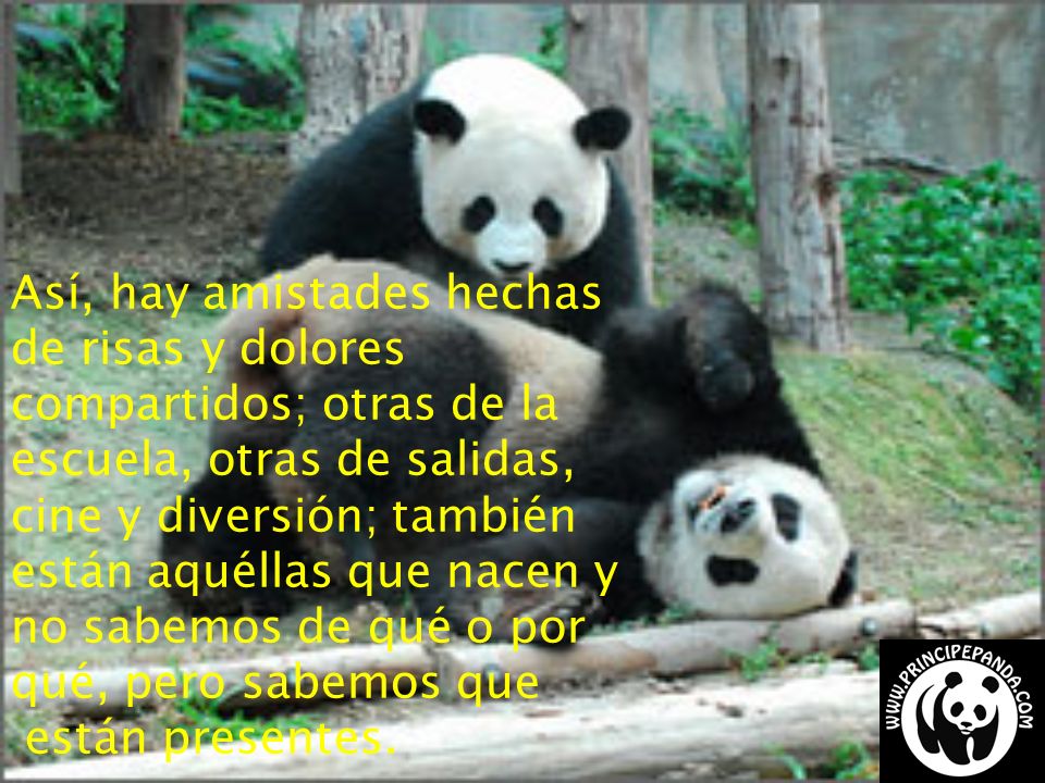 Así, hay amistades hechas de risas y dolores compartidos; otras de la escuela, otras de salidas, cine y diversión; también están aquéllas que nacen y no sabemos de qué o por qué, pero sabemos que están presentes.