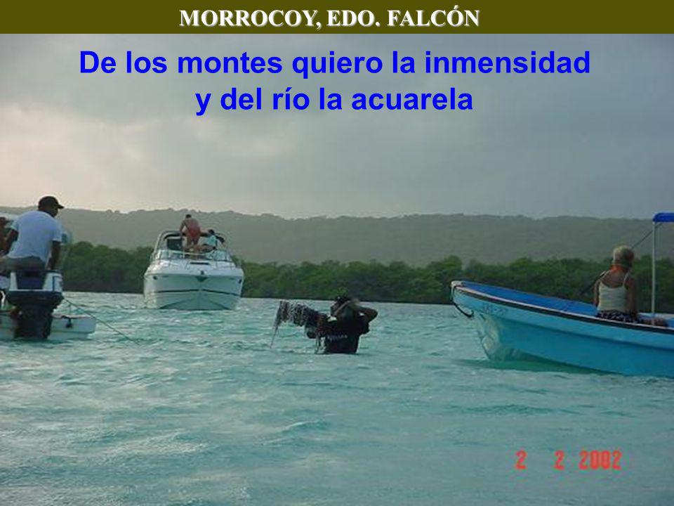 De los montes quiero la inmensidad y del río la acuarela