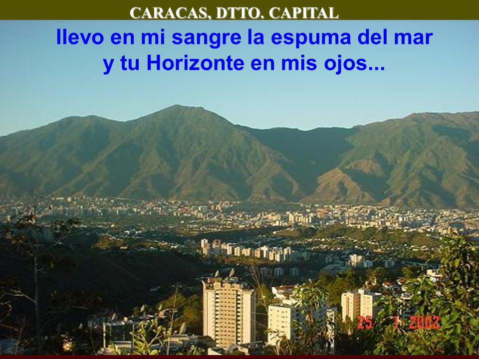 llevo en mi sangre la espuma del mar y tu Horizonte en mis ojos...