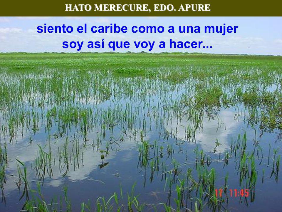 siento el caribe como a una mujer soy así que voy a hacer...