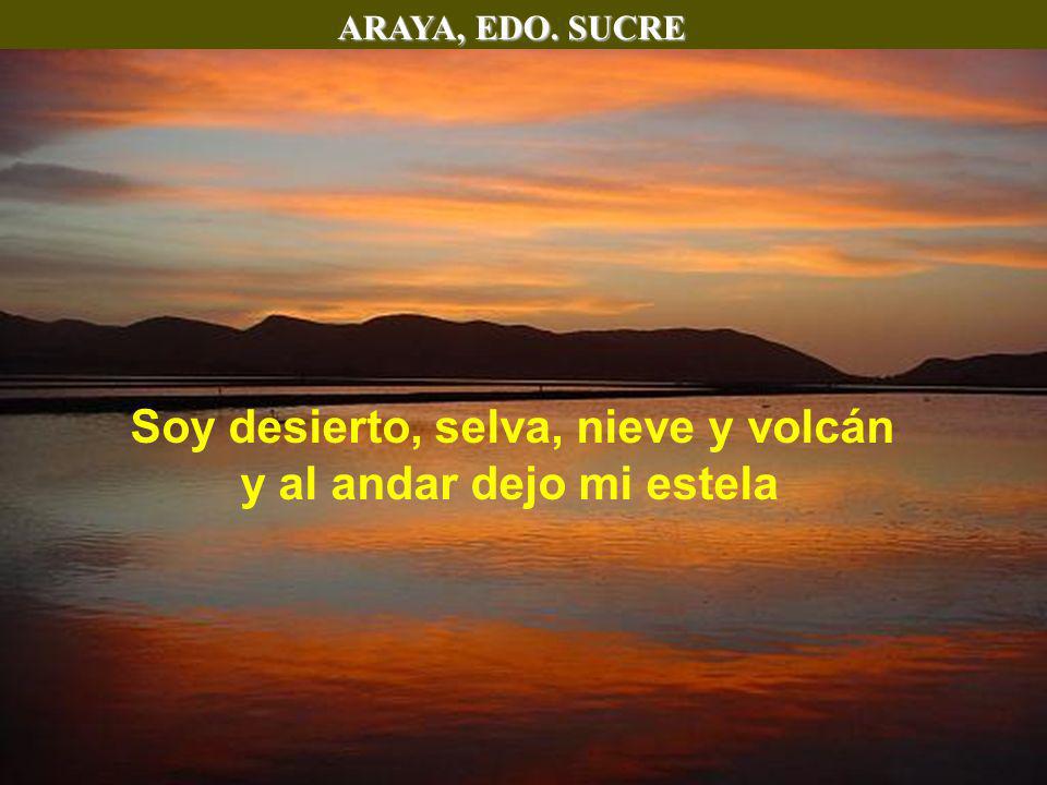 Soy desierto, selva, nieve y volcán y al andar dejo mi estela