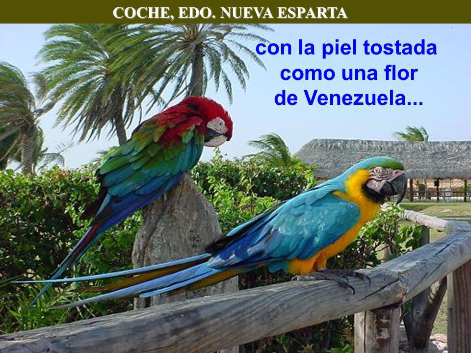 COCHE, EDO. NUEVA ESPARTA como una flor de Venezuela...