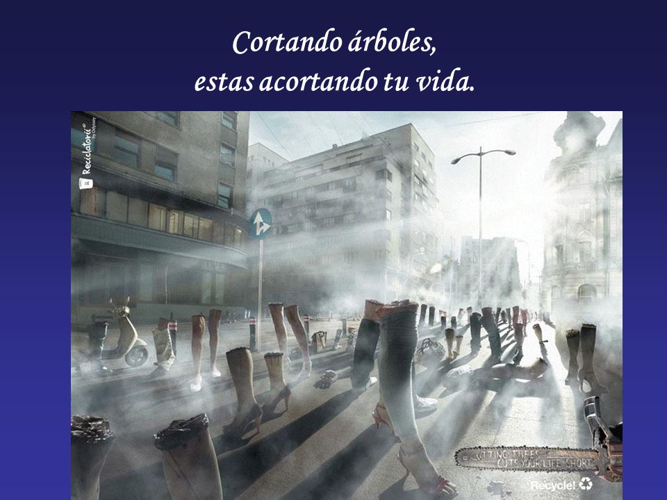 Cortando árboles, estas acortando tu vida.
