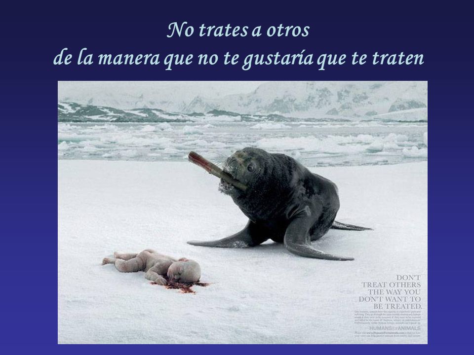 No trates a otros de la manera que no te gustaría que te traten