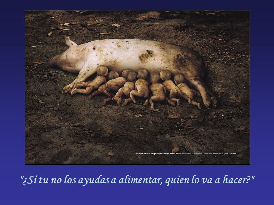 ¿Si tu no los ayudas a alimentar, quien lo va a hacer