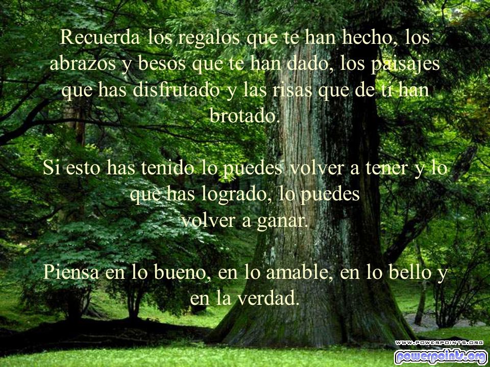 Recuerda los regalos que te han hecho, los abrazos y besos que te han dado, los paisajes que has disfrutado y las risas que de ti han brotado.