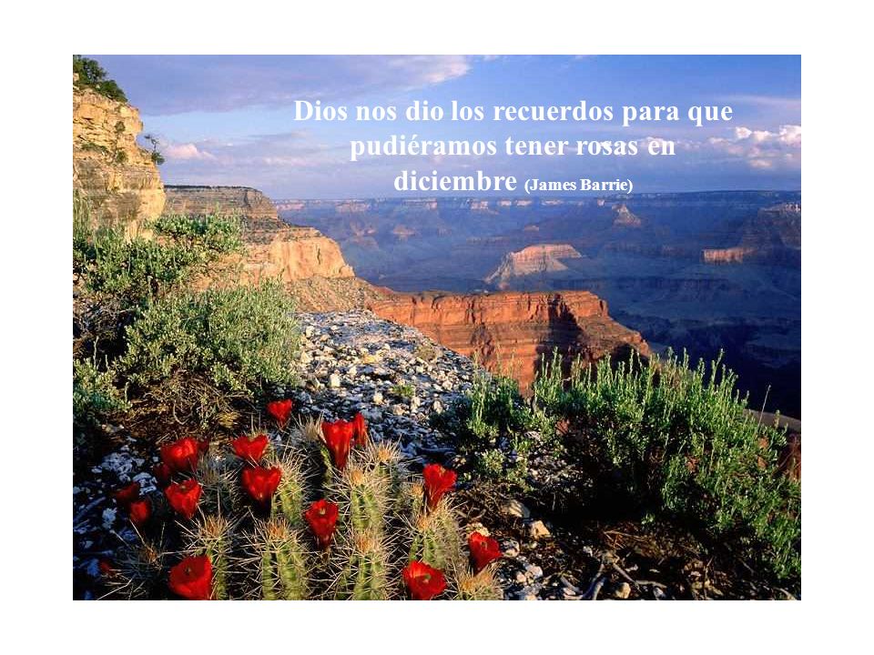 Dios nos dio los recuerdos para que pudiéramos tener rosas en diciembre (James Barrie)
