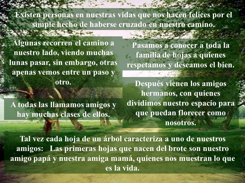 A todas las llamamos amigos y hay muchas clases de ellos.