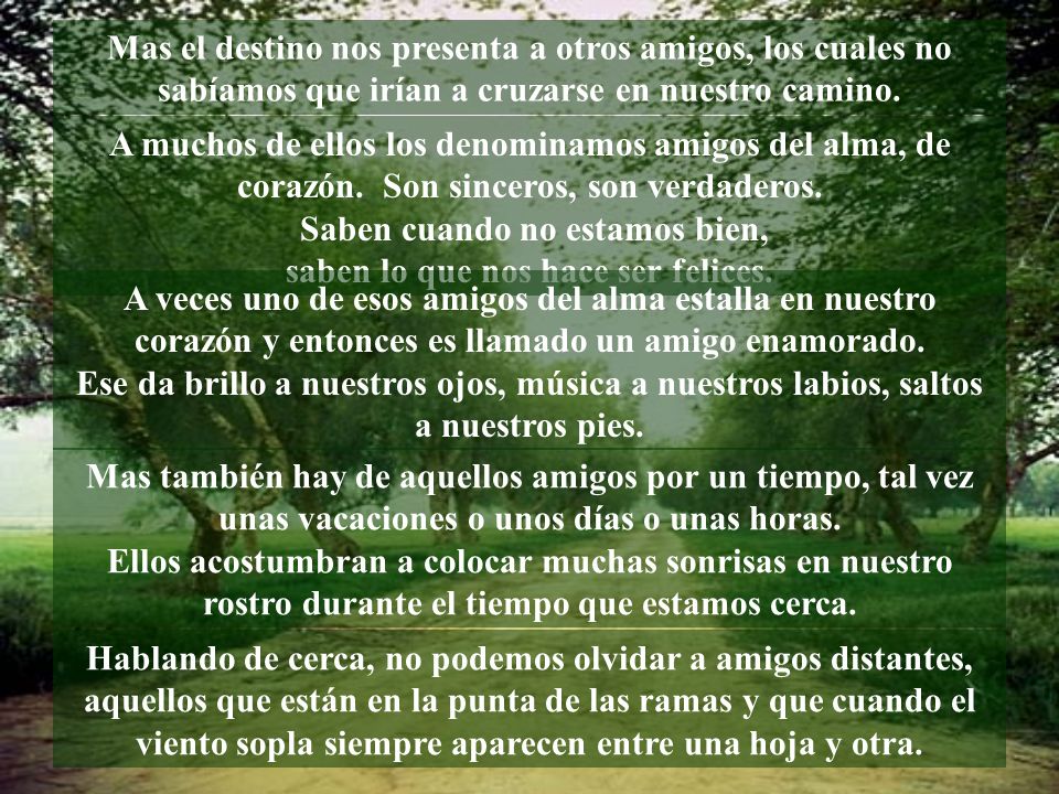 Saben cuando no estamos bien, saben lo que nos hace ser felices.