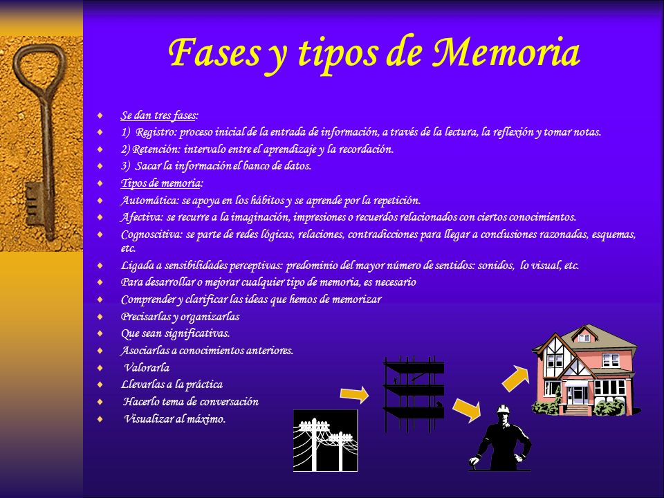 Fases y tipos de Memoria