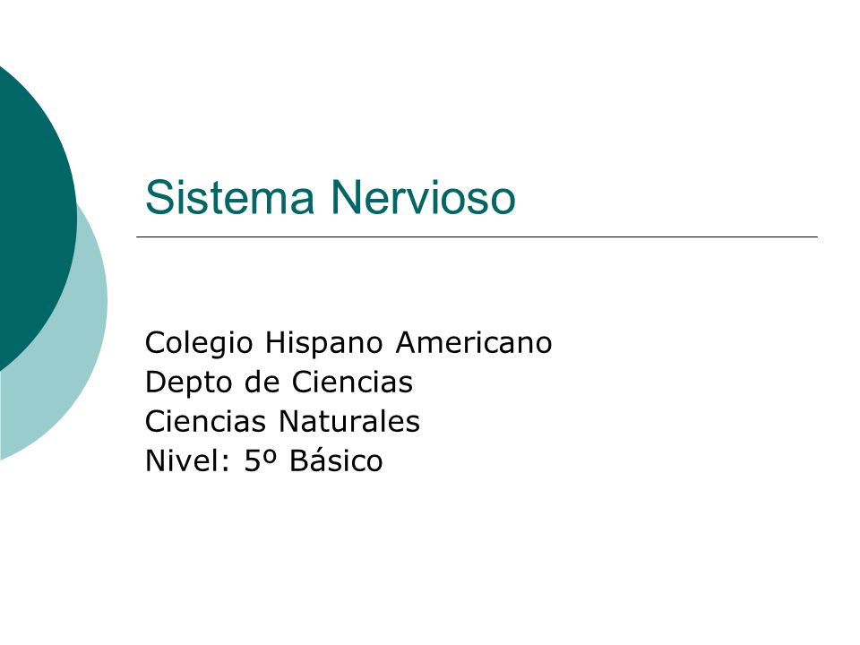 Sistema Nervioso Colegio Hispano Americano Depto de Ciencias