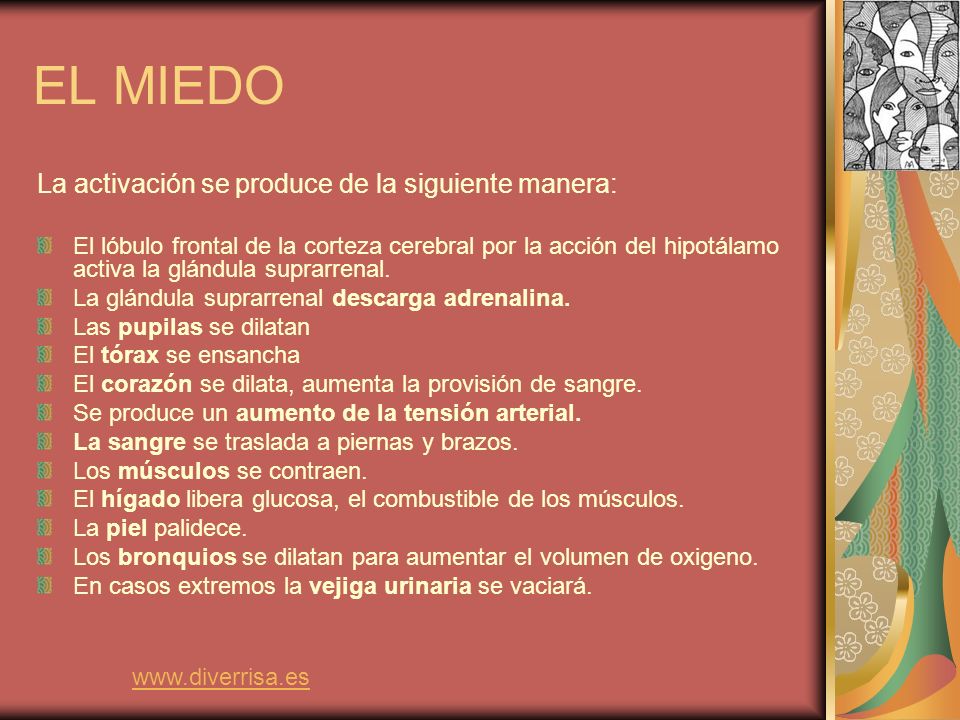 EL MIEDO La activación se produce de la siguiente manera:
