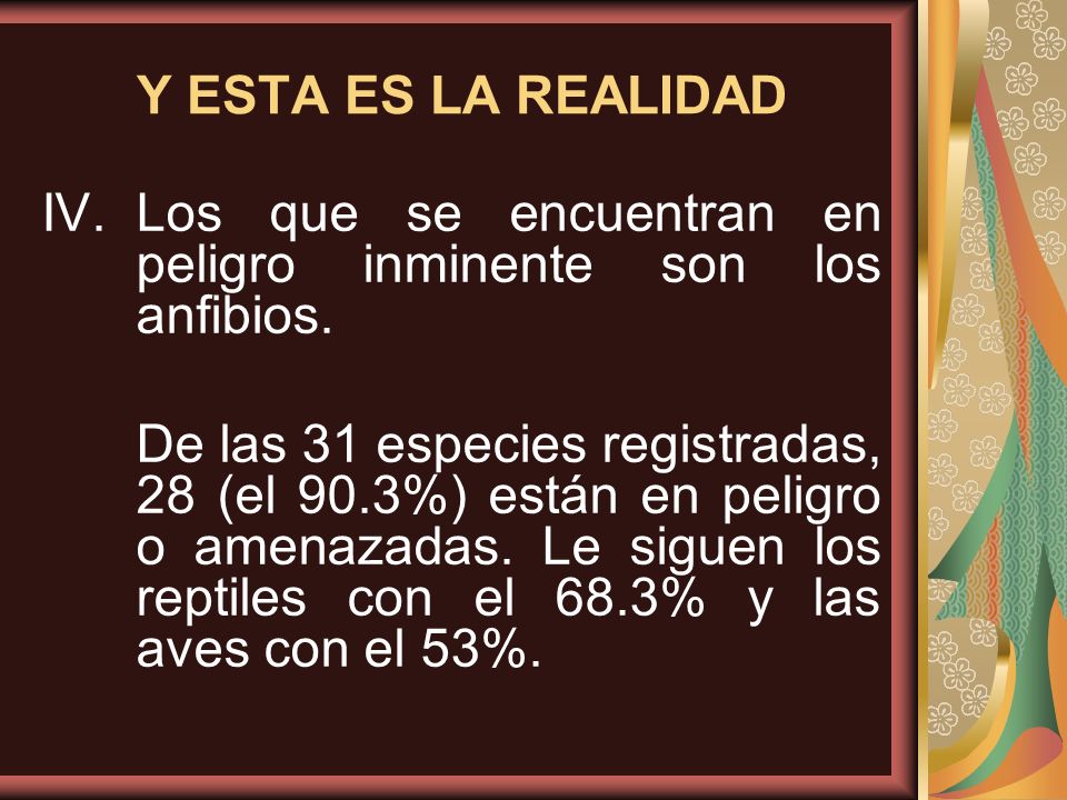 Y ESTA ES LA REALIDAD Los que se encuentran en peligro inminente son los anfibios.