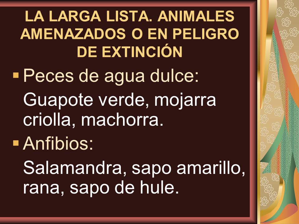 LA LARGA LISTA. ANIMALES AMENAZADOS O EN PELIGRO DE EXTINCIÓN