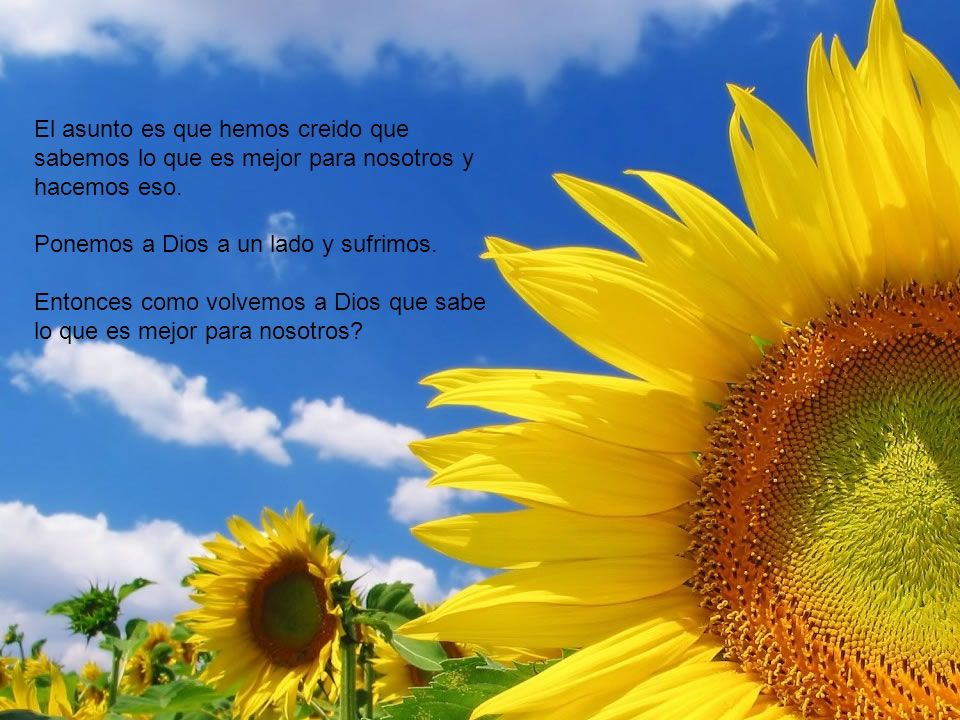 El asunto es que hemos creido que sabemos lo que es mejor para nosotros y hacemos eso.