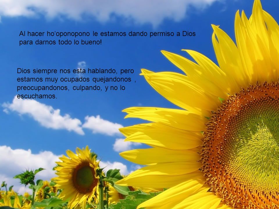 Al hacer ho’oponopono le estamos dando permiso a Dios para darnos todo lo bueno!