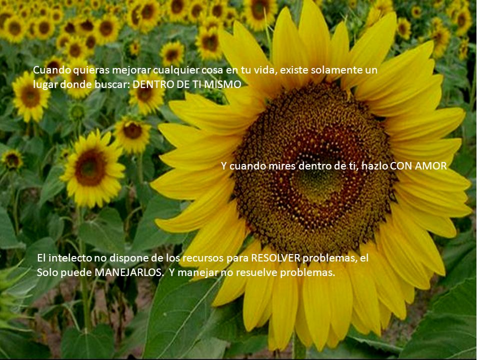 Cuando quieras mejorar cualquier cosa en tu vida, existe solamente un lugar donde buscar: DENTRO DE TI MISMO