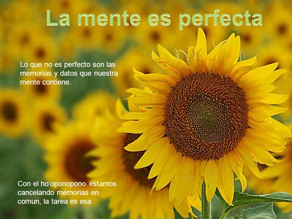 La mente es perfecta Lo que no es perfecto son las memorias y datos que nuestra mente contiene.