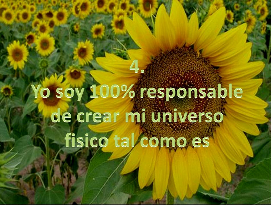 4. Yo soy 100% responsable de crear mi universo fisico tal como es