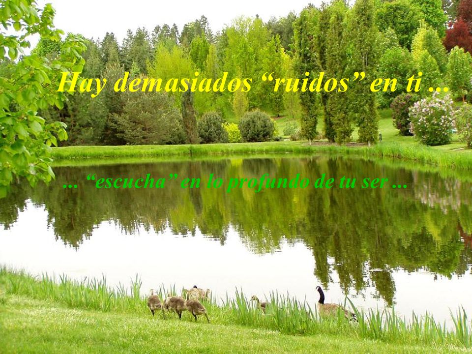 ... escucha en lo profundo de tu ser ...