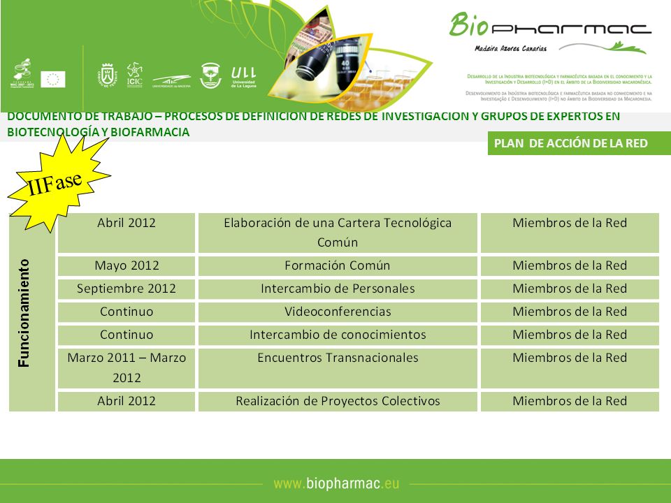 DOCUMENTO DE TRABAJO – PROCESOS DE DEFINICIÓN DE REDES DE INVESTIGACIÓN Y GRUPOS DE EXPERTOS EN BIOTECNOLOGÍA Y BIOFARMACIA