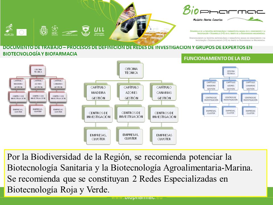 DOCUMENTO DE TRABAJO – PROCESOS DE DEFINICIÓN DE REDES DE INVESTIGACIÓN Y GRUPOS DE EXPERTOS EN BIOTECNOLOGÍA Y BIOFARMACIA