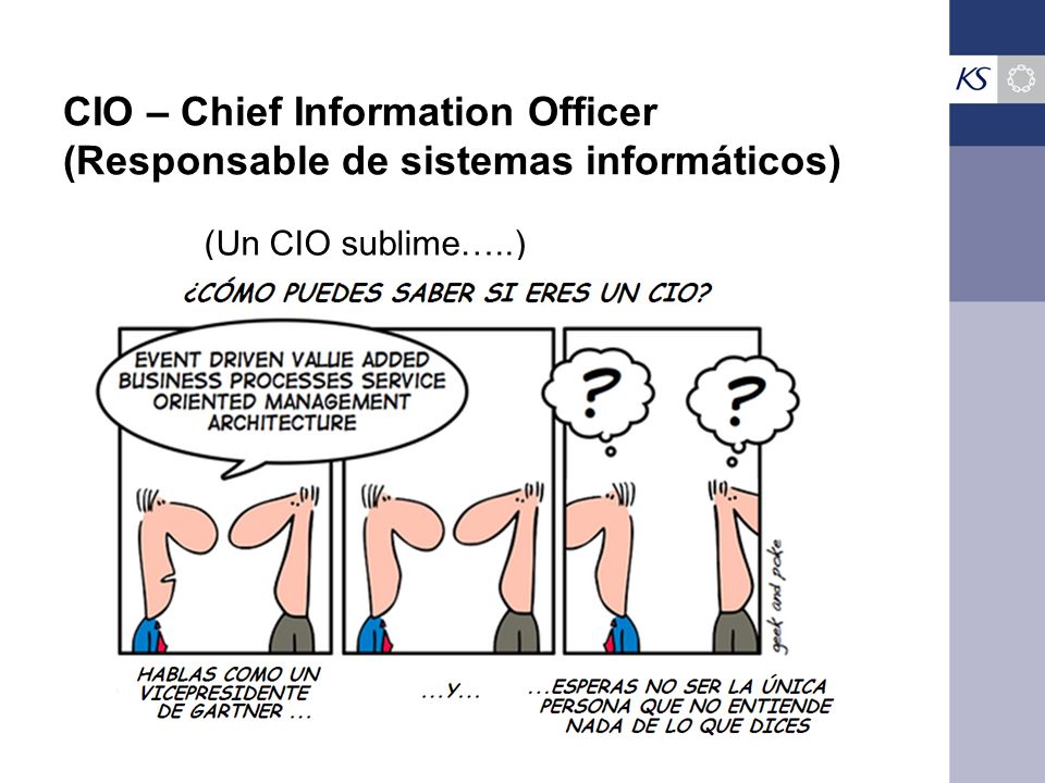 CIO – Chief Information Officer (Responsable de sistemas informáticos)