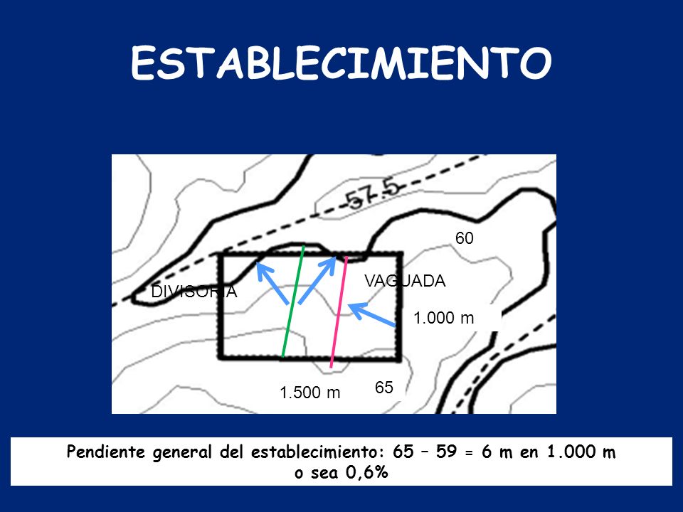 Pendiente general del establecimiento: 65 – 59 = 6 m en m