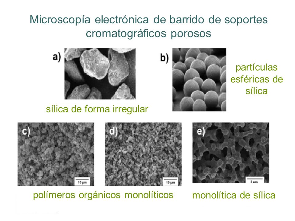 Microscopía electrónica de barrido de soportes cromatográficos porosos