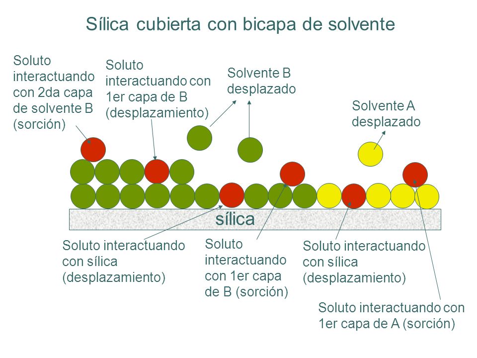 Sílica cubierta con bicapa de solvente