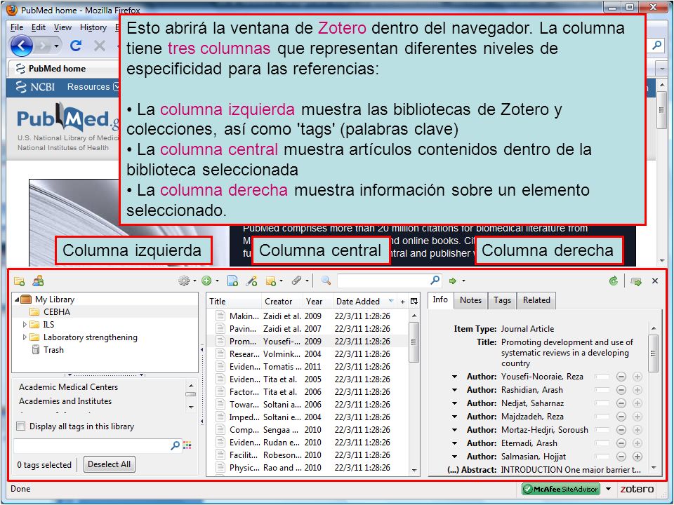 Esto abrirá la ventana de Zotero dentro del navegador