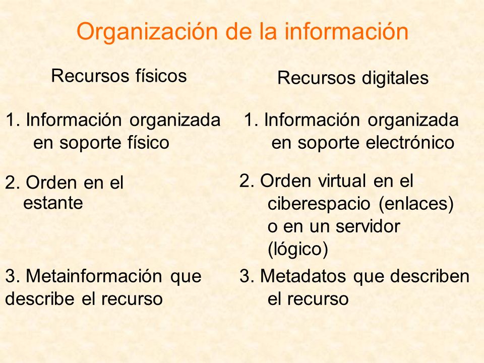 Organización de la información