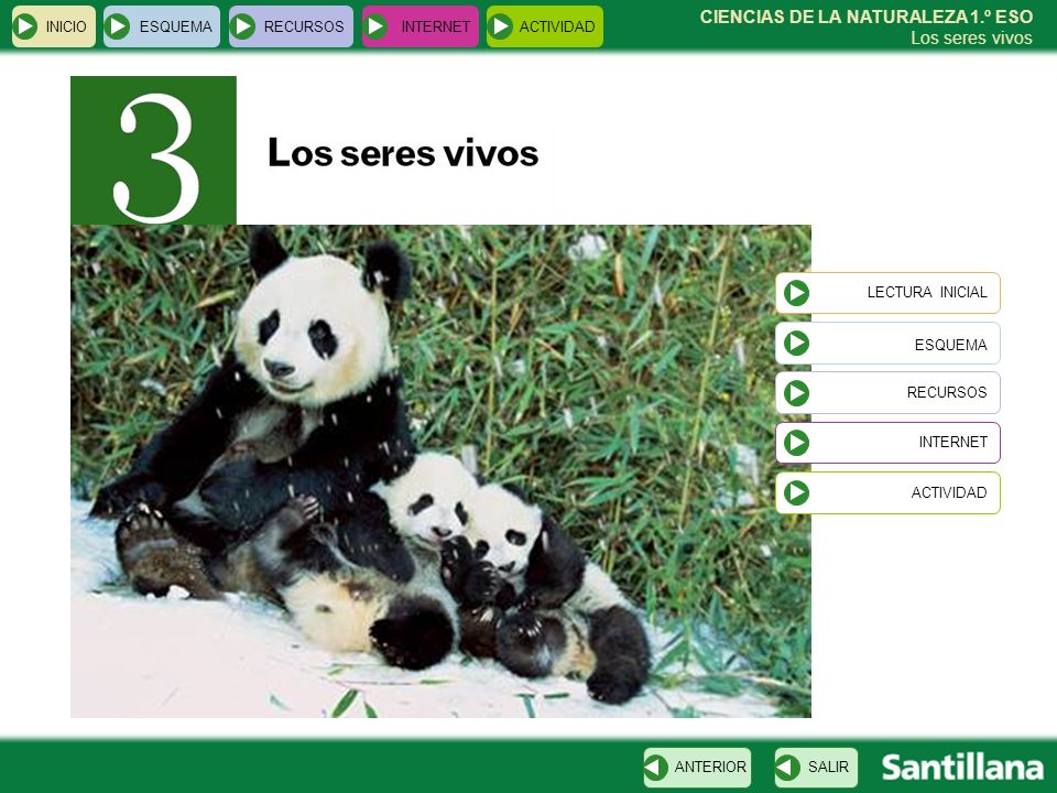 ESQUEMA CIENCIAS DE LA NATURALEZA 1.º ESO Los seres vivos INICIO