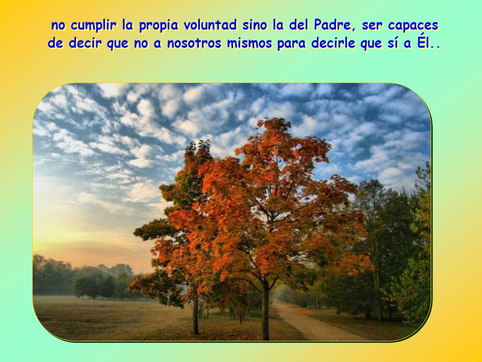no cumplir la propia voluntad sino la del Padre, ser capaces de decir que no a nosotros mismos para decirle que sí a Él..