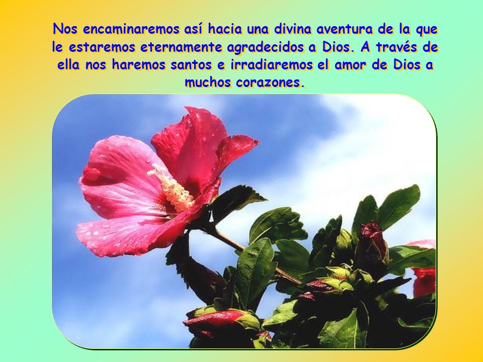Nos encaminaremos así hacia una divina aventura de la que le estaremos eternamente agradecidos a Dios.
