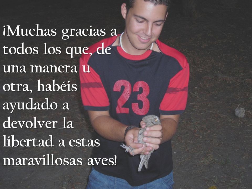 ¡Muchas gracias a todos los que, de una manera u otra, habéis ayudado a devolver la libertad a estas maravillosas aves!