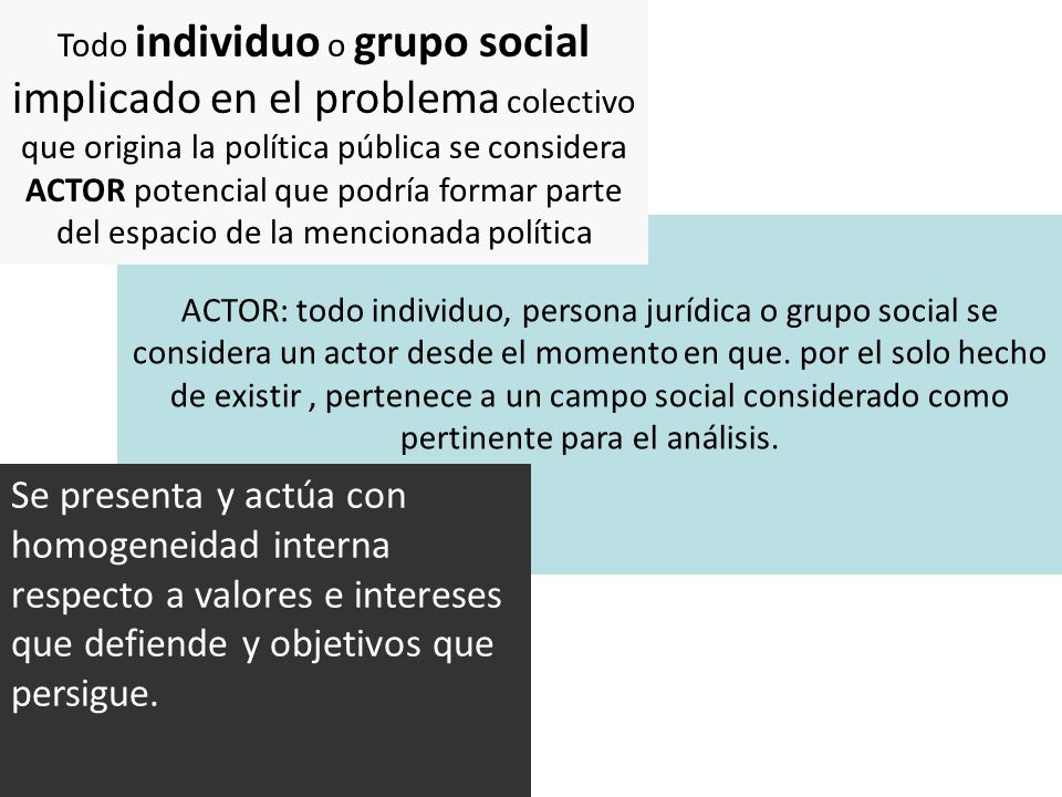 Todo individuo o grupo social implicado en el problema colectivo que origina la política pública se considera ACTOR potencial que podría formar parte del espacio de la mencionada política