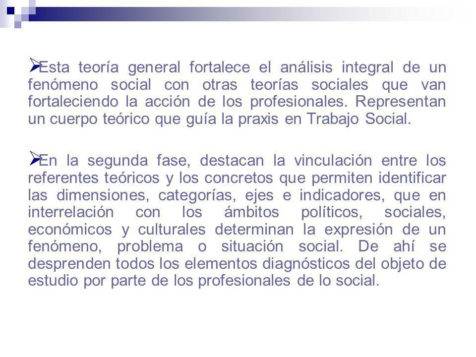 Esta teoría general fortalece el análisis integral de un fenómeno social con otras teorías sociales que van fortaleciendo la acción de los profesionales. Representan un cuerpo teórico que guía la praxis en Trabajo Social.