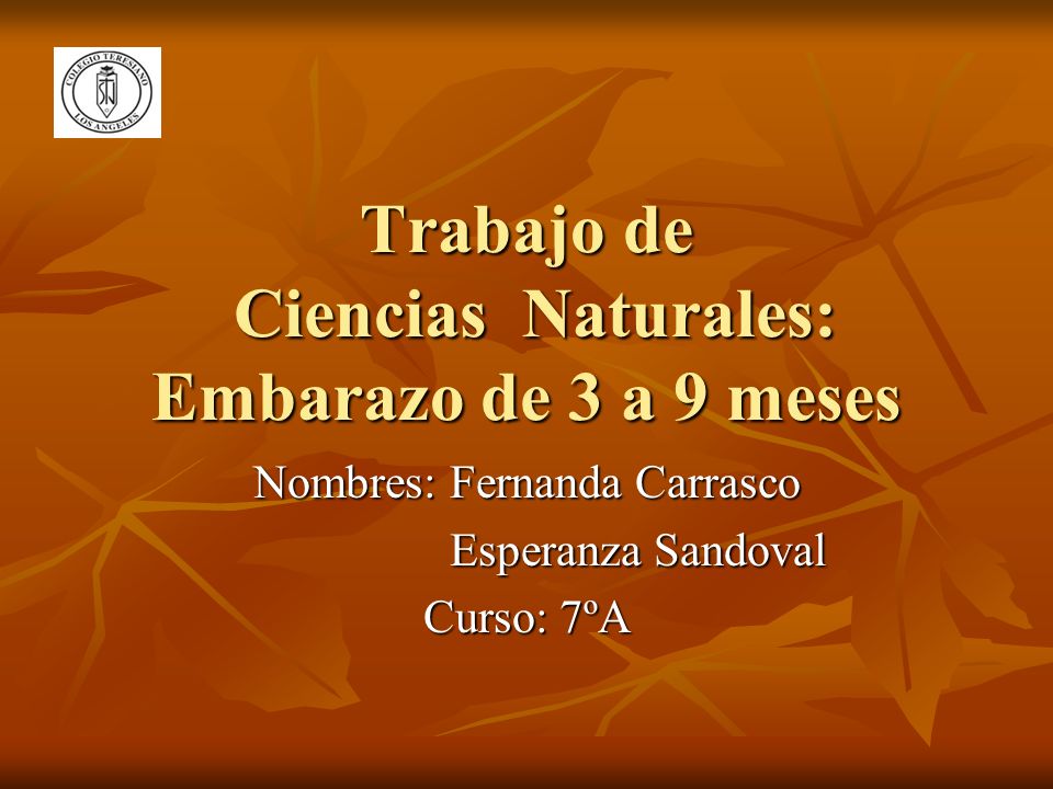 Trabajo de Ciencias Naturales: Embarazo de 3 a 9 meses