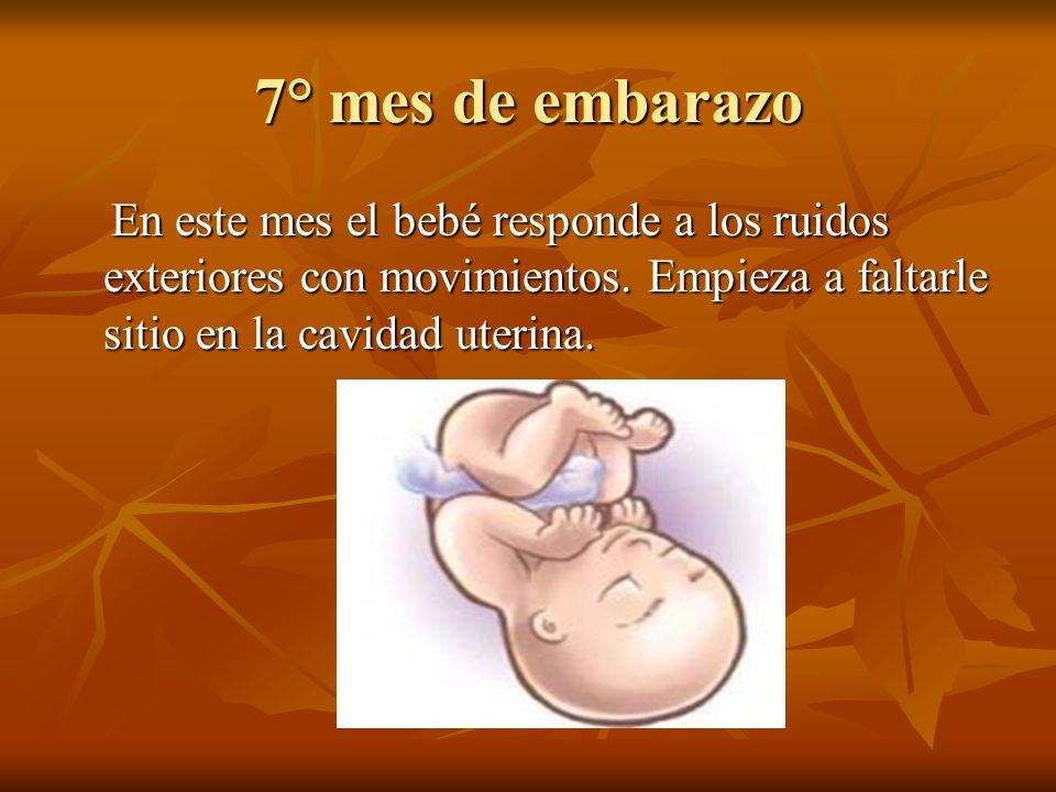 7° mes de embarazo En este mes el bebé responde a los ruidos exteriores con movimientos.