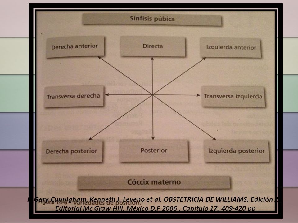 F. Gary Cunnigham, Kenneth J. Leveno et al. OBSTETRICIA DE WILLIAMS