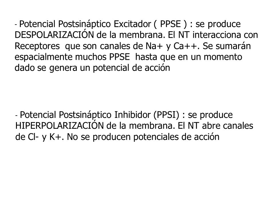 - Potencial Postsináptico Excitador ( PPSE ) : se produce DESPOLARIZACIÓN de la membrana. El NT interacciona con Receptores que son canales de Na+ y Ca++. Se sumarán espacialmente muchos PPSE hasta que en un momento dado se genera un potencial de acción