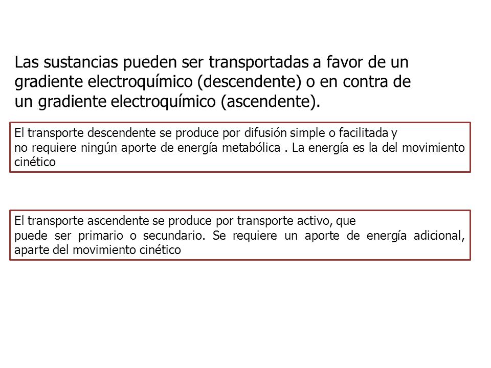 Las sustancias pueden ser transportadas a favor de un