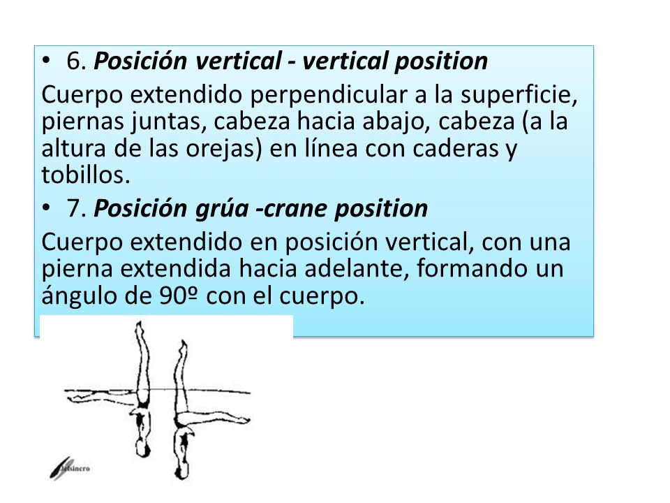 6. Posición vertical - vertical position