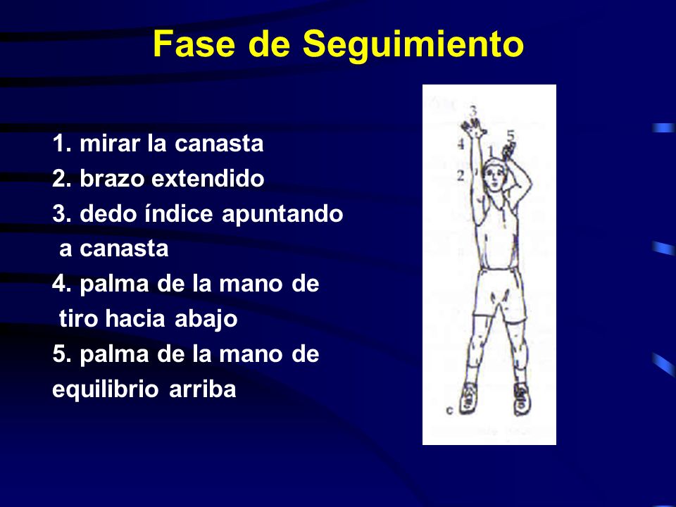 Fase de Seguimiento 1. mirar la canasta 2. brazo extendido