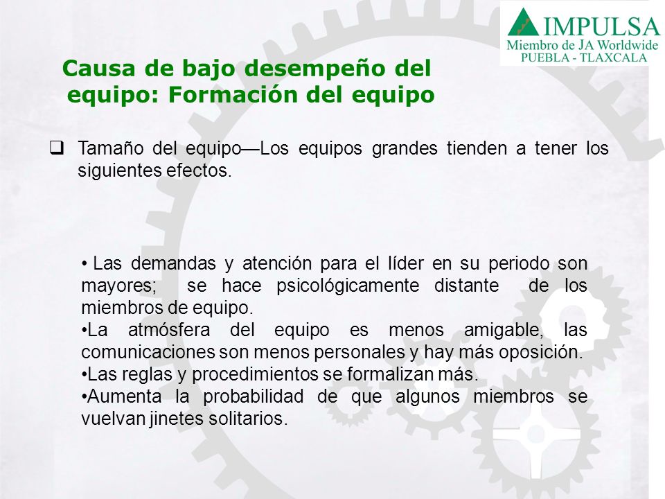 Causa de bajo desempeño del equipo: Formación del equipo