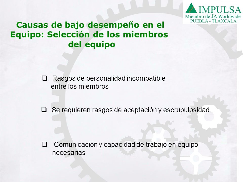 Causas de bajo desempeño en el Equipo: Selección de los miembros