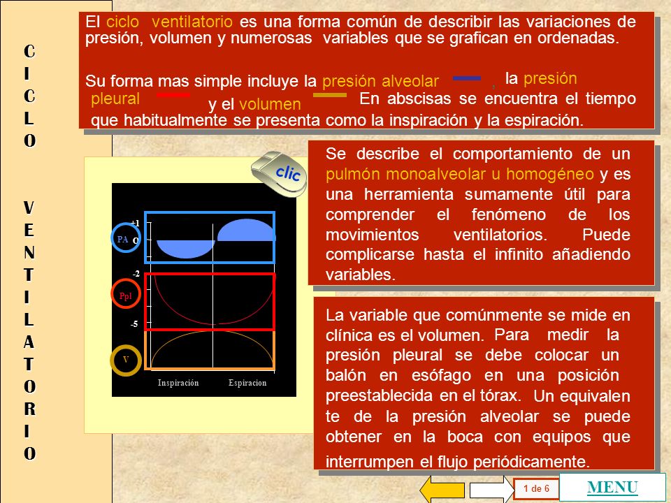 El ciclo ventilatorio es una forma común de describir las variaciones de presión, volumen y numerosas variables que se grafican en ordenadas.