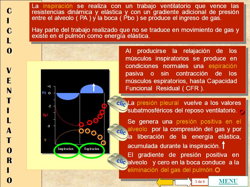 La inspiración se realiza con un trabajo ventilatorio que vence las resistencias dinámica y elástica y con un gradiente adicional de presión entre el alveolo ( PA ) y la boca ( Pbo ) se produce el ingreso de gas.