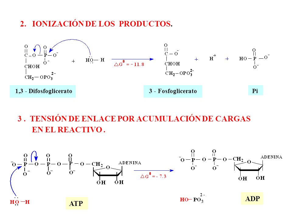 2. IONIZACIÓN DE LOS PRODUCTOS.